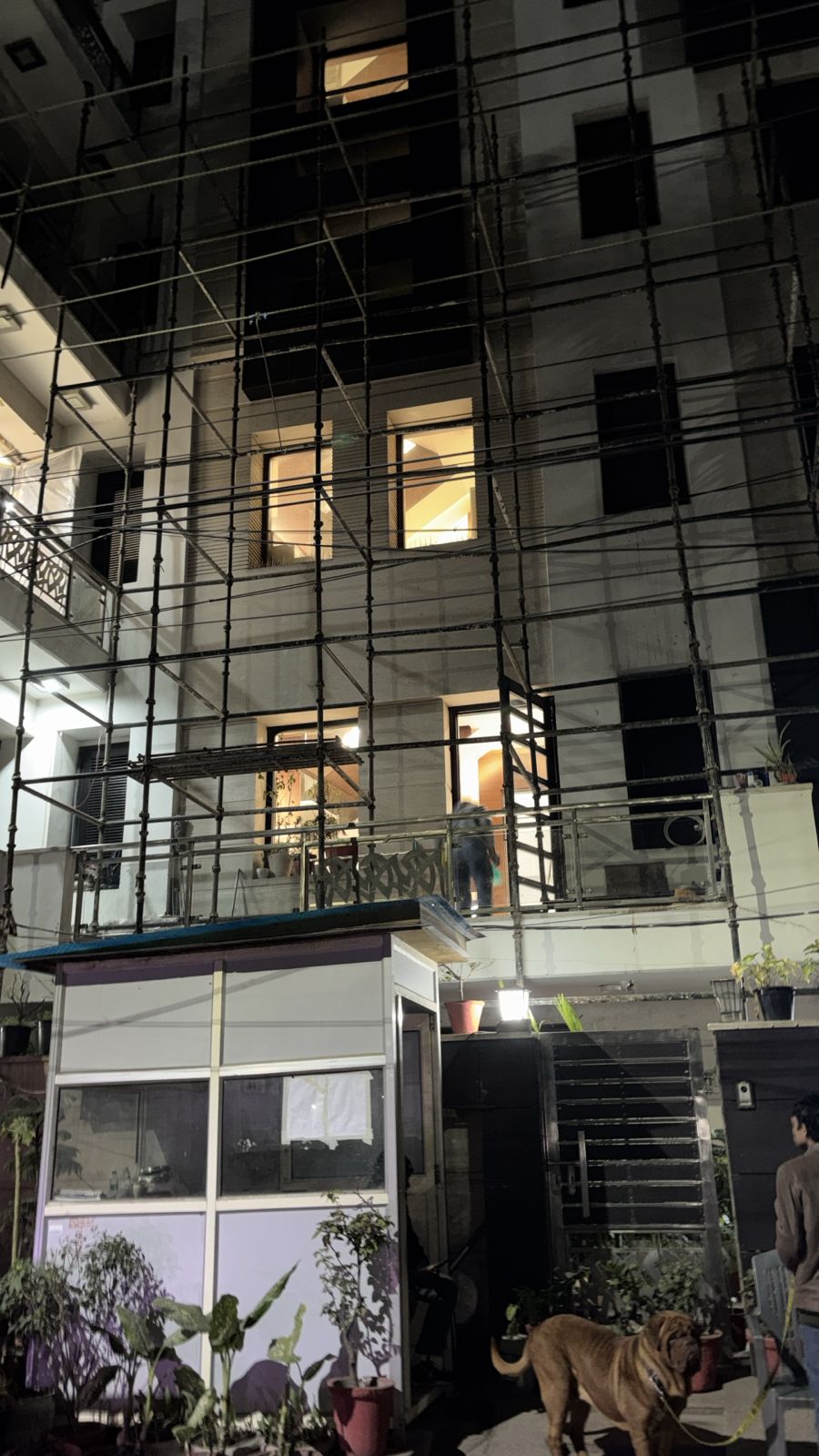 Gallery Image 8